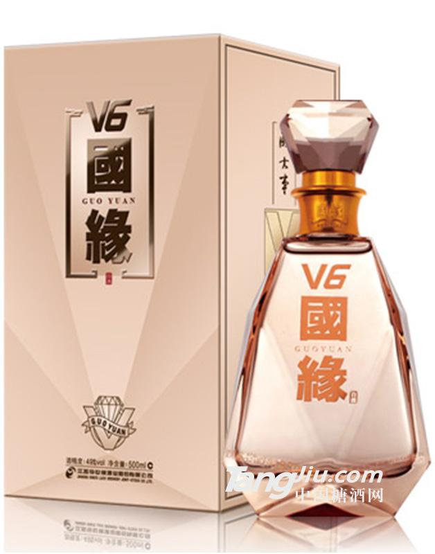 國緣V6-500ml