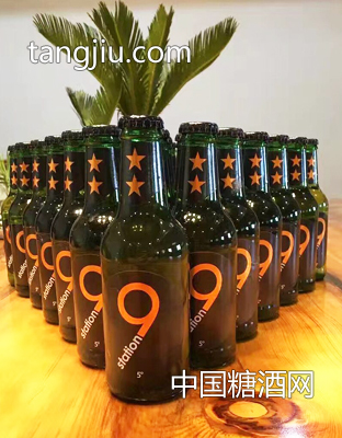 荷蘭原裝原瓶進口獅得森啤酒5