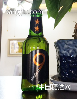 荷蘭原裝原瓶進口獅得森啤酒7