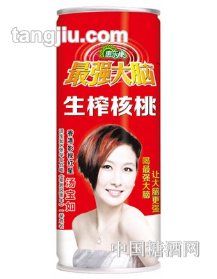 升級版強大腦生榨核桃乳240ml