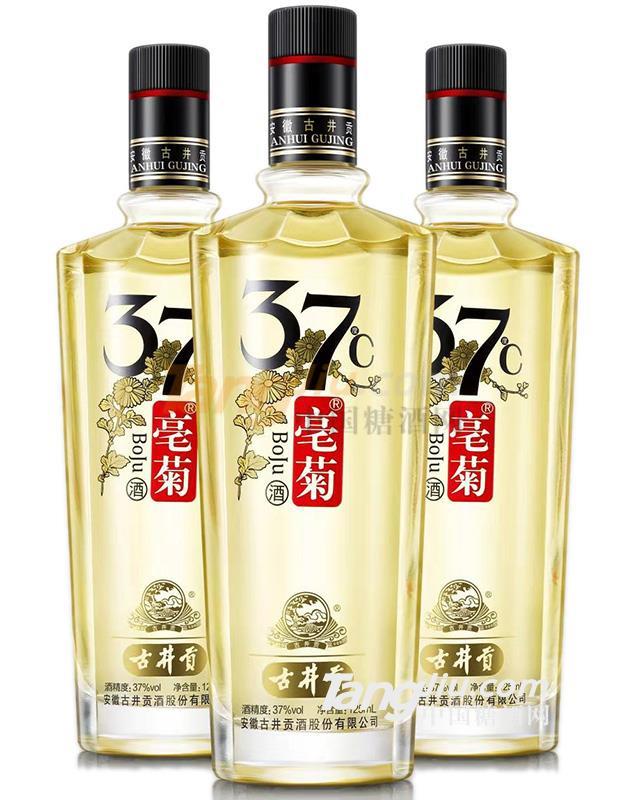 37°古井貢·亳菊酒-.jpg