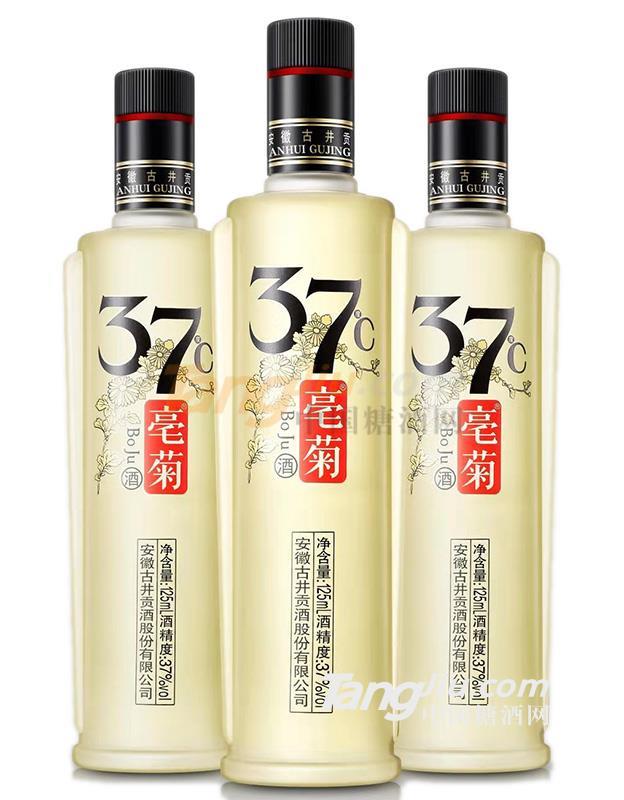 37°古井貢·亳菊酒1.jpg