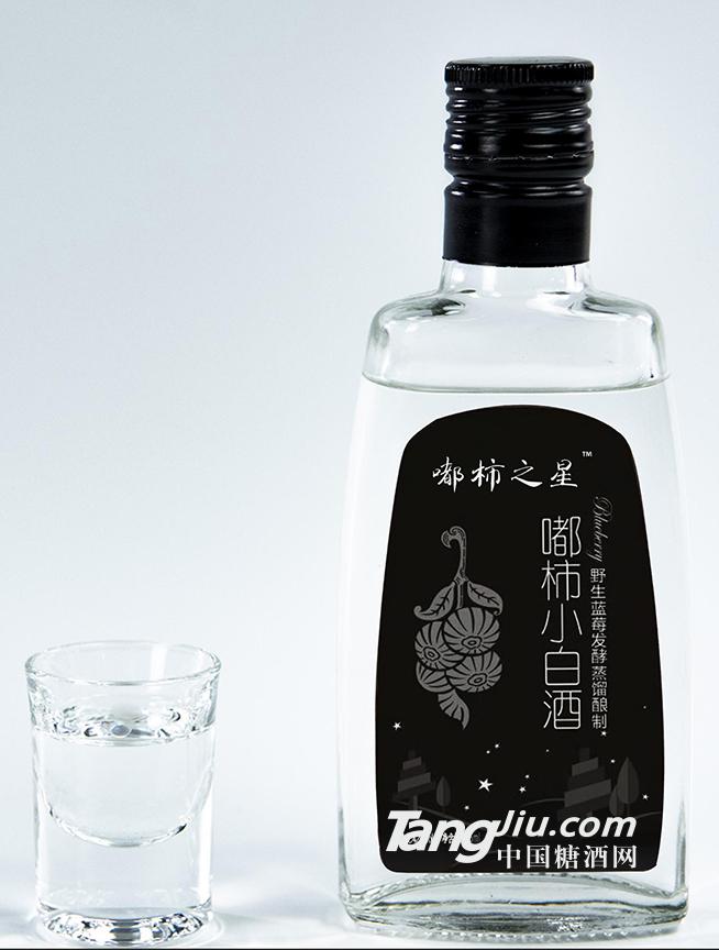 龍達健康酒業-嘟柿小白酒-125ml