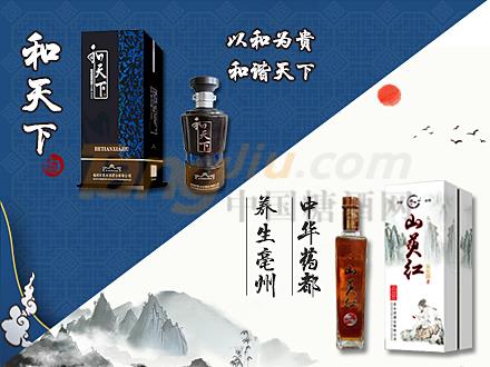 亳州市豫皖酒業有限公司1.jpg