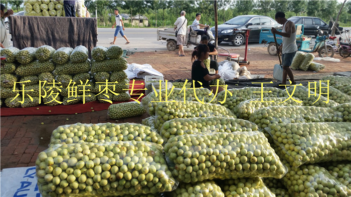 山東冬棗產(chǎn)地批發(fā)1000斤起