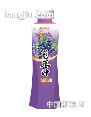 喜相逢藍莓汁500ml