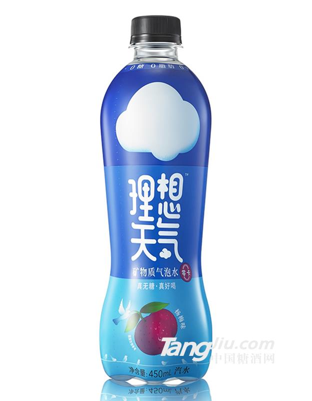 理想天氣·礦物質氣泡水楊梅味450ml