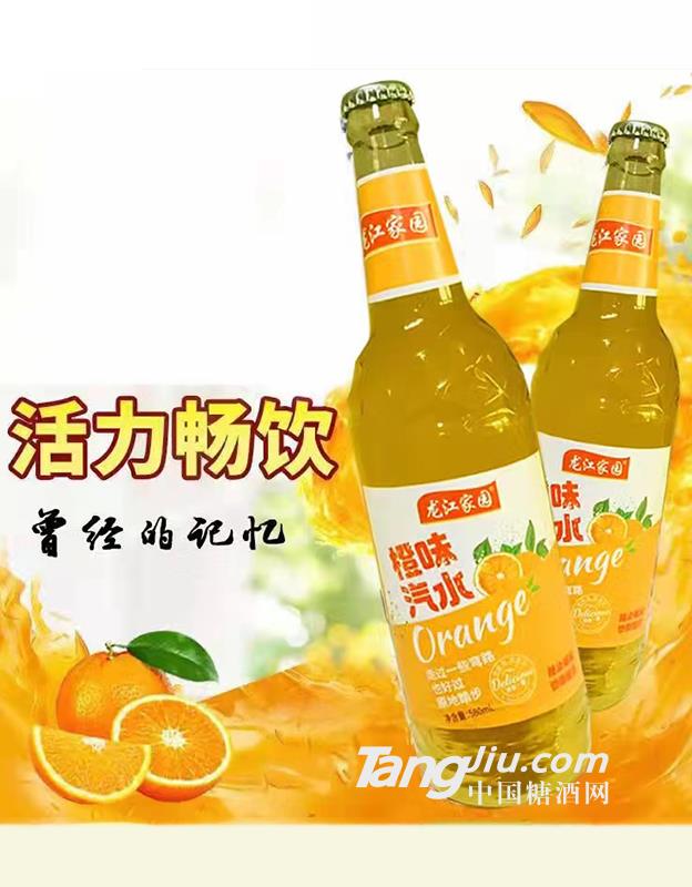 龍江家園橙味汽水580ml