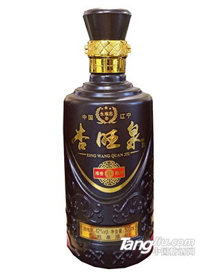 杏旺泉濃香經(jīng)典500ml